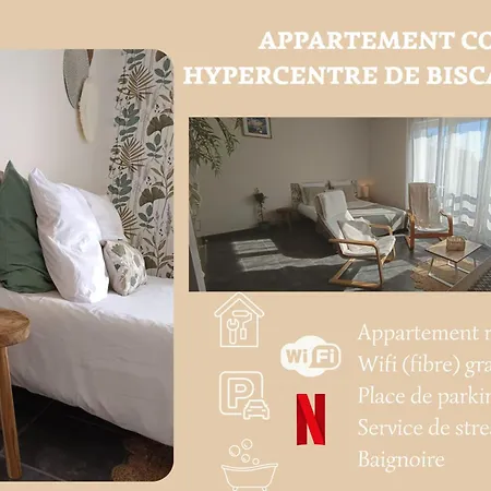 Lumineux Hypercentre - Apartment Biscarrosse