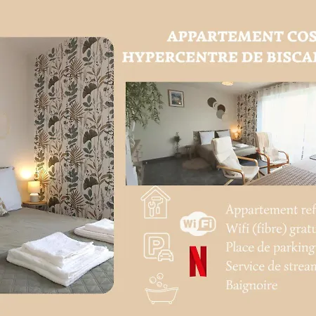 Lumineux Hypercentre - *
