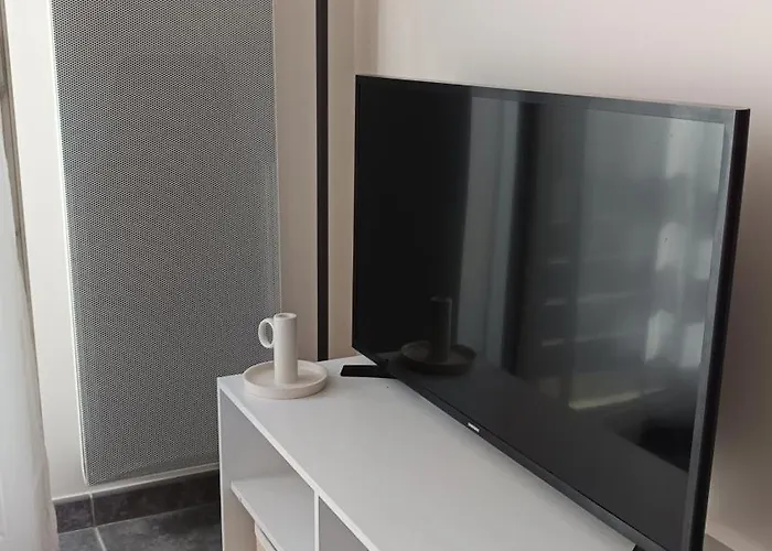 شقة Lumineux Hypercentre - بيسكاروس