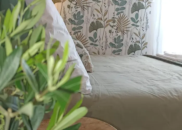 شقة Lumineux Hypercentre - بيسكاروس